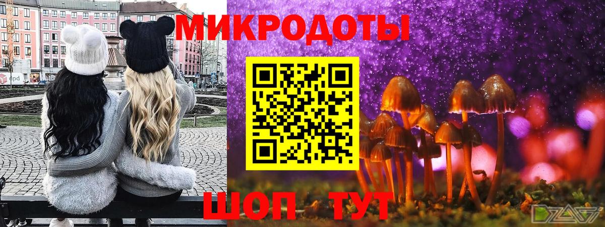 Галлюциногенные грибы прущие грибы Белая Калитва