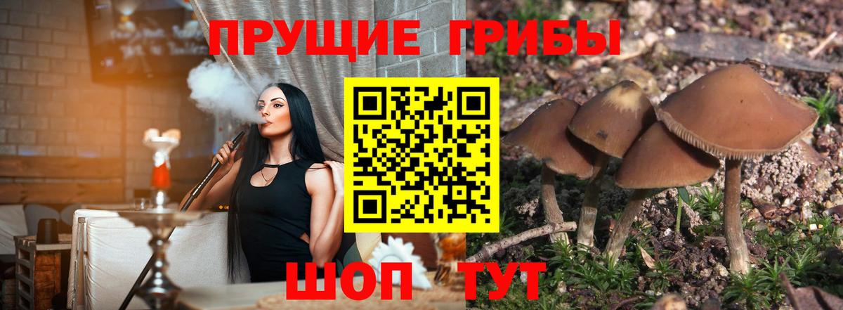 Псилоцибиновые грибы Magic Shrooms  Псилоцибиновые грибы MAGIC MUSHROOMS  Белая Калитва  Вход с VPN 
